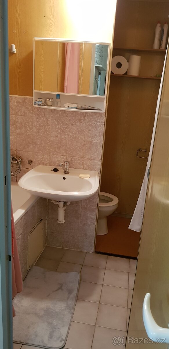 Prodej bytu 2+1, 44 m², Dv. okruh Krnov - 13