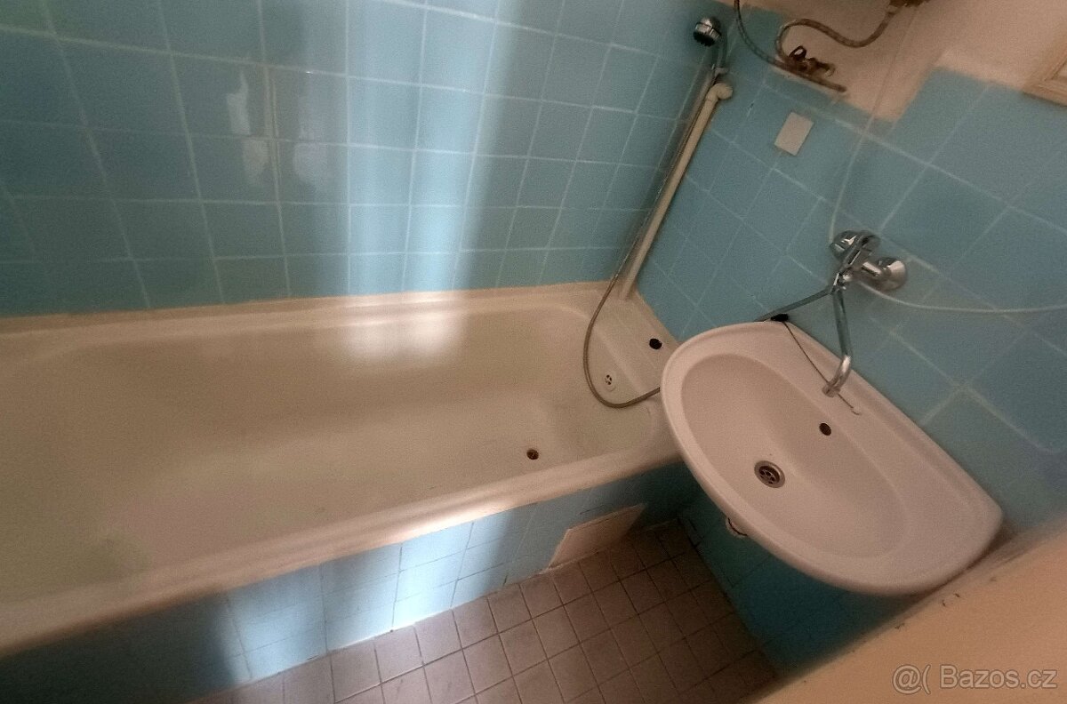 Pronájem 1+1 České Budějovice, Skuherského na Pražském předm - 13