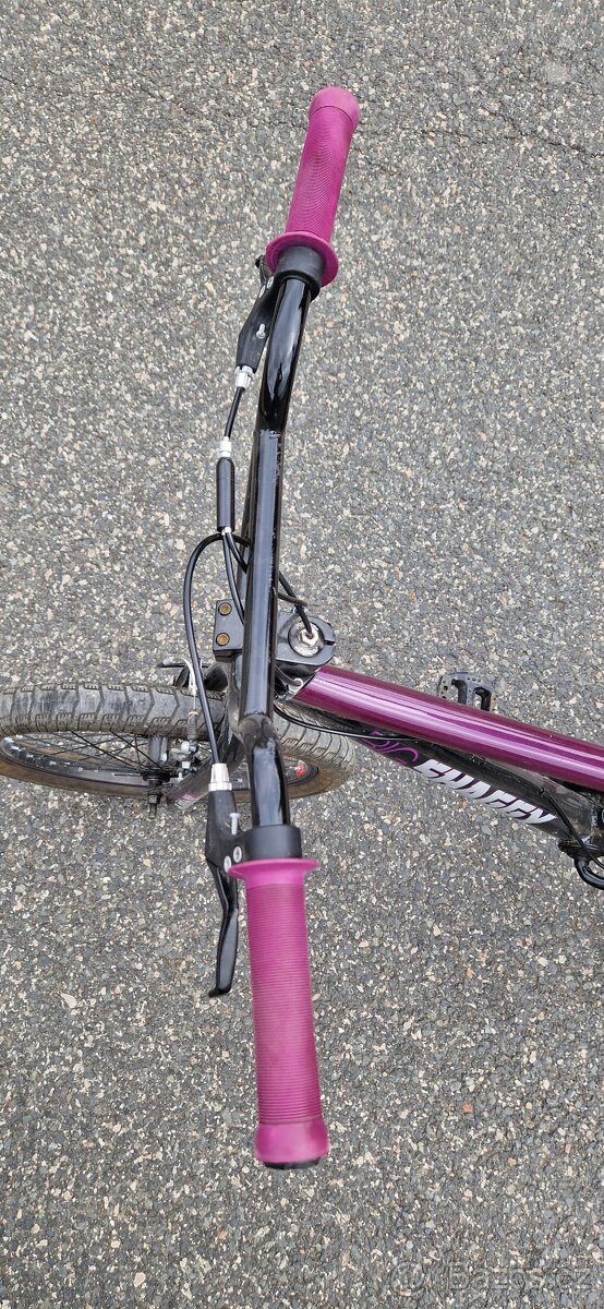 BMX „Big Shaggy Spoked“, 20" - 13