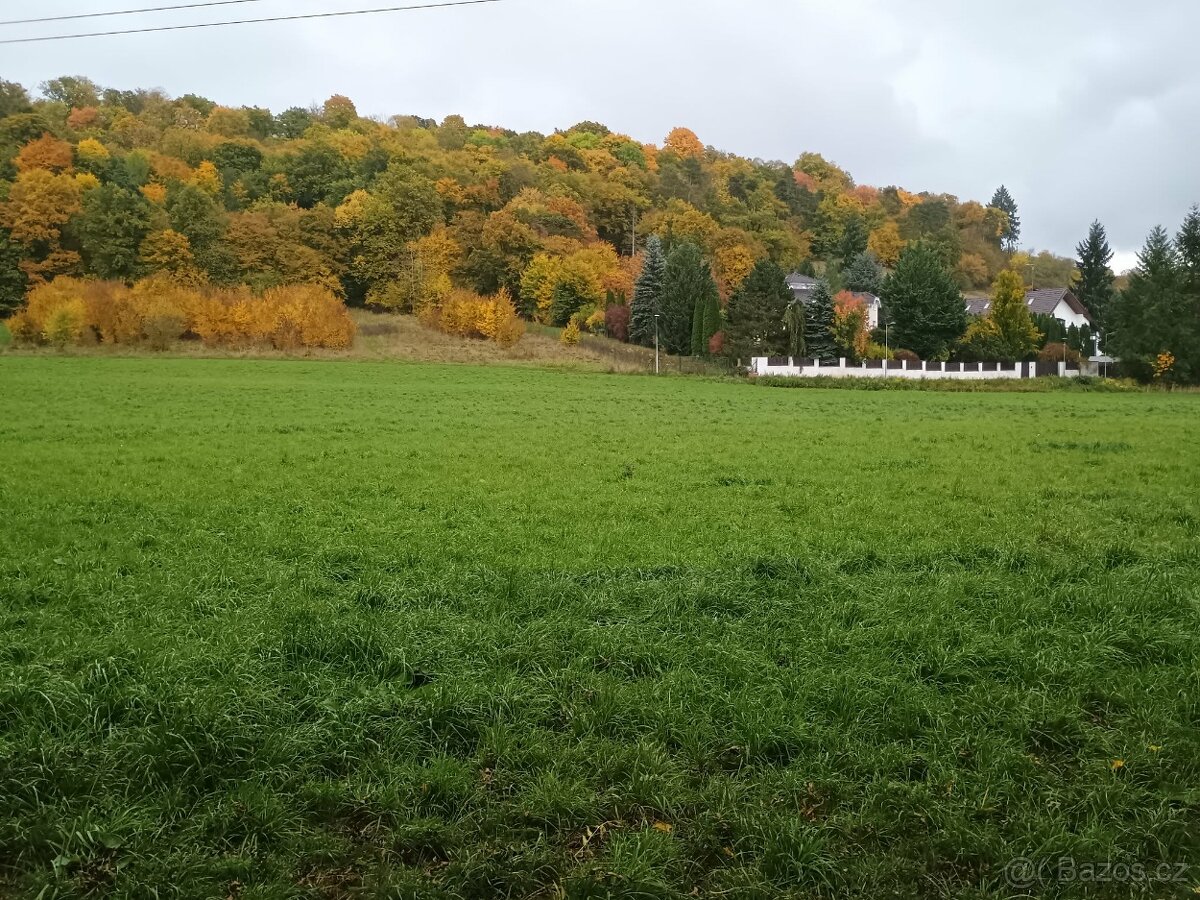 Mufloní obora a další pozemky - 13