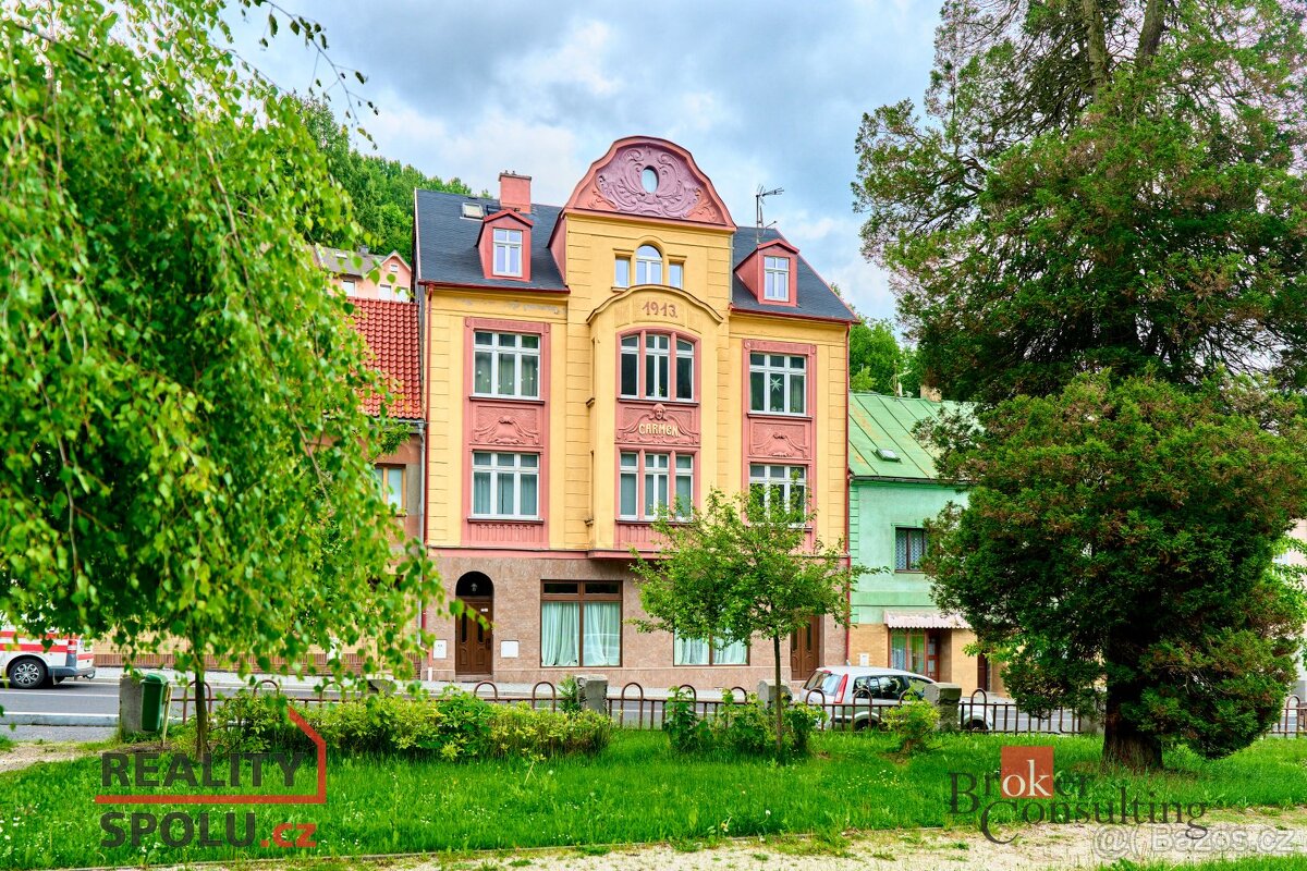 Prodej, byty/1+1, 43 m2, třída Dukelských hrdinů 334, 36251 - 13