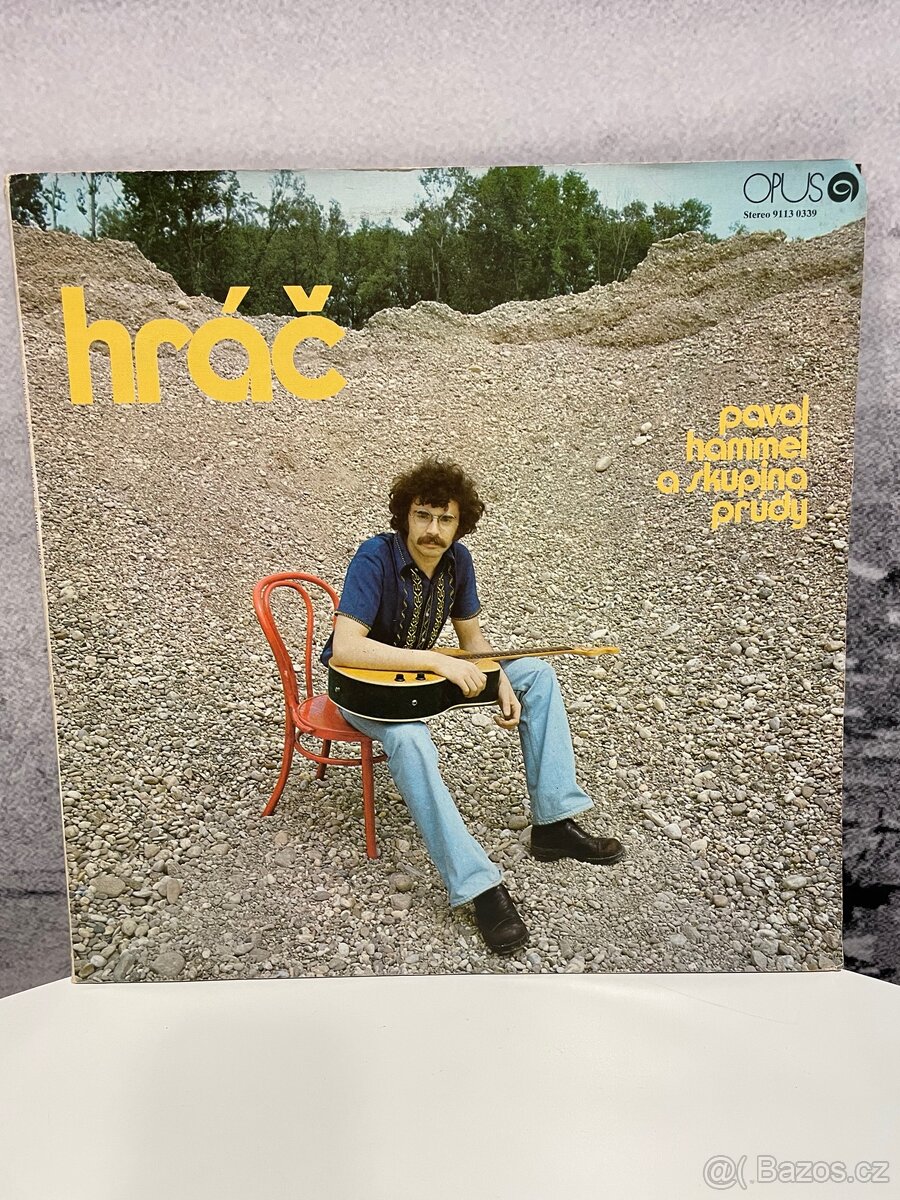 Gramofonové desky č.1 cena za 1 kus - 13