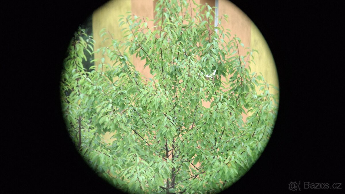 Dalekohled BOC 7X50 TENTO - 13