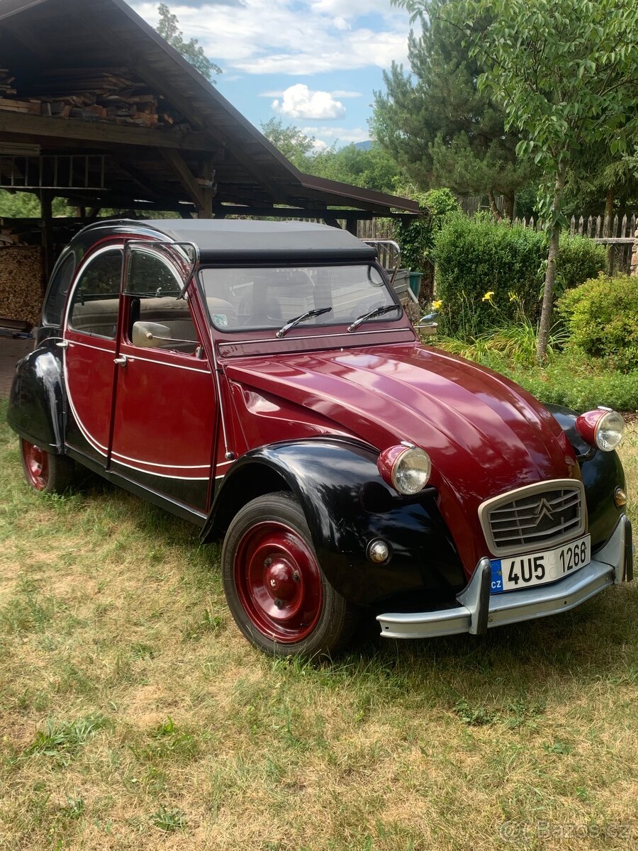 Citroen 2cv - 13