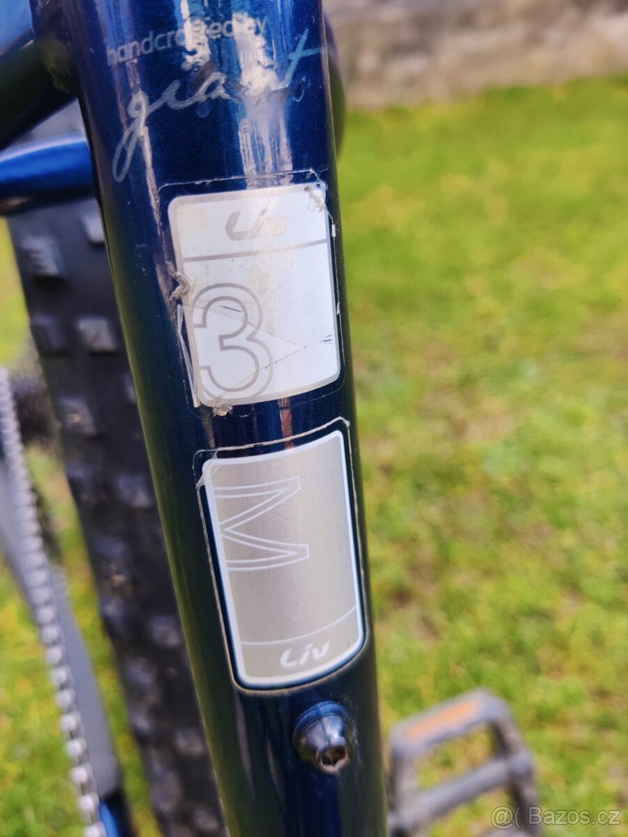 Giant Liv Vall-E+ 3 Power 2019 - 13