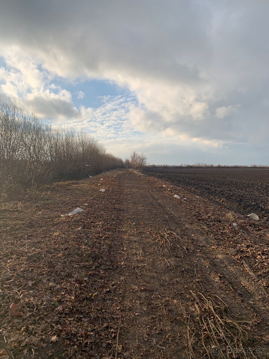 Údržba zeleně - 13