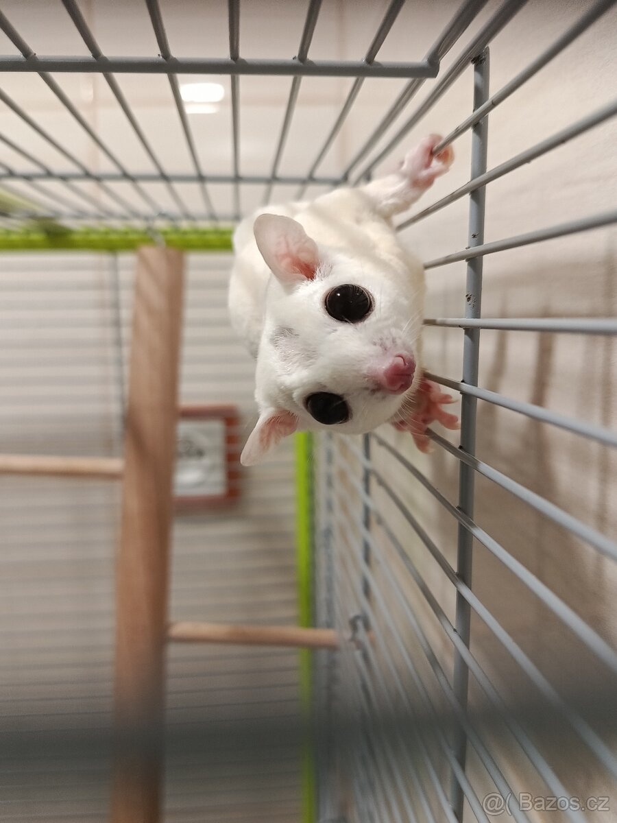 Vakoveverky + vybaveni - 13