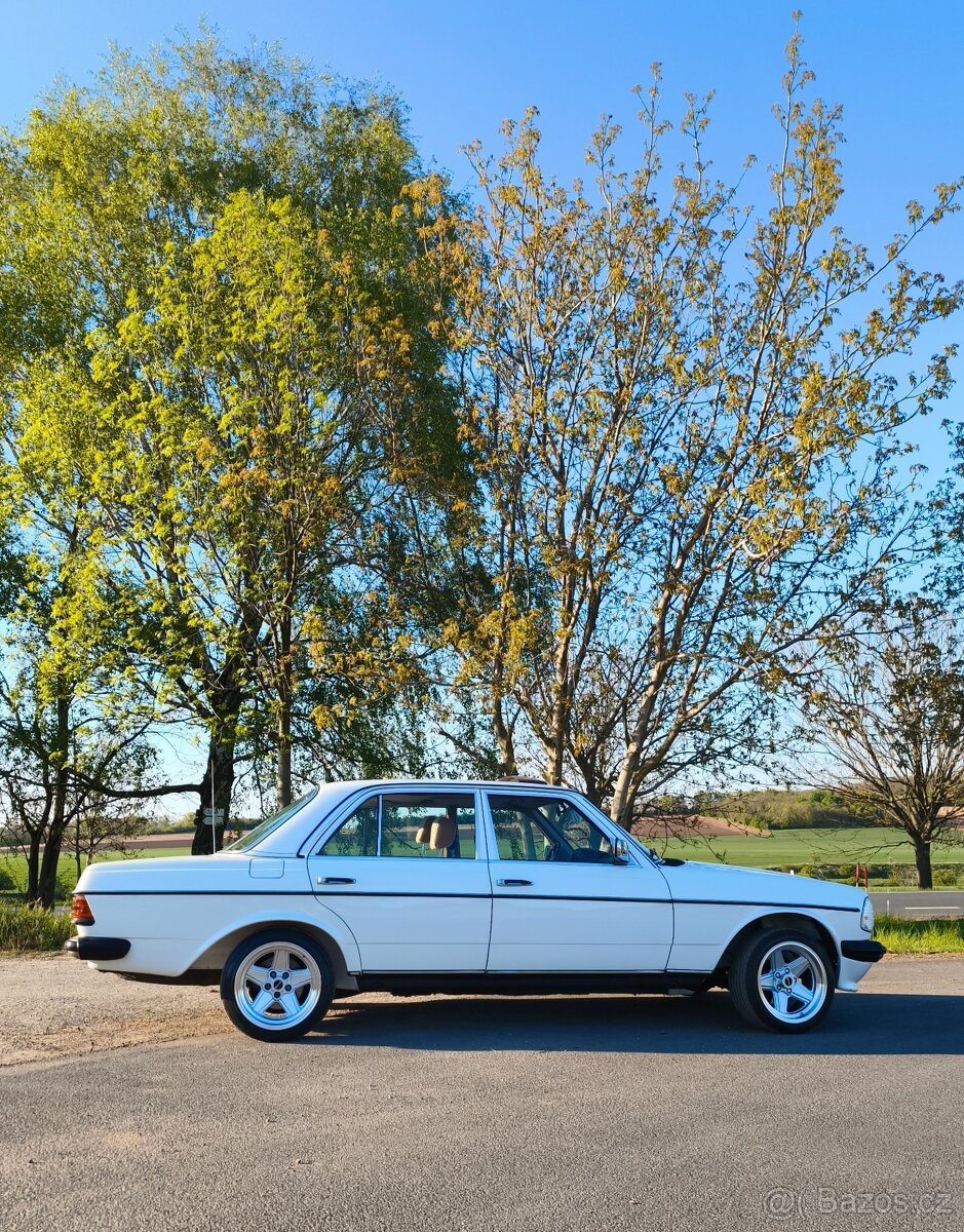 W123 230E Piano - 13