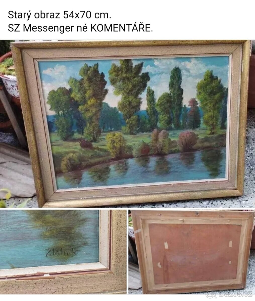 Obrazy. Cena za kus. - 13