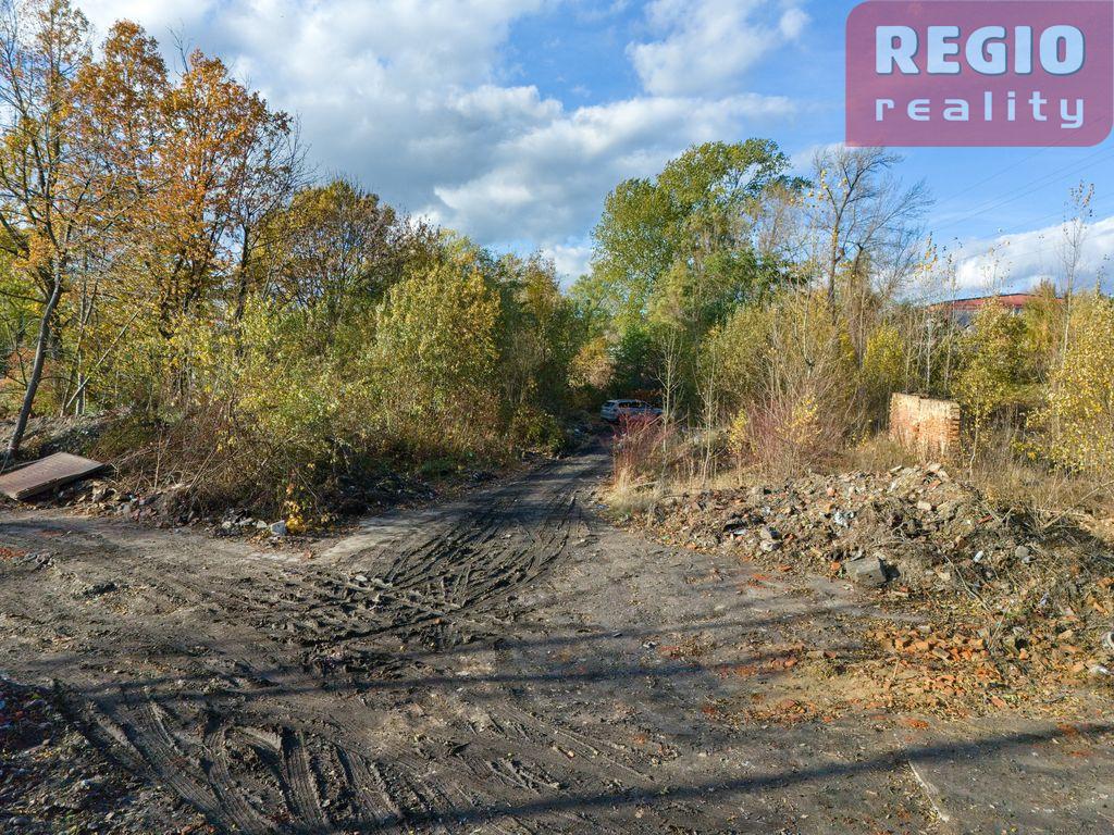 Prodej pozemku 6603 m2, Hrušov - 13