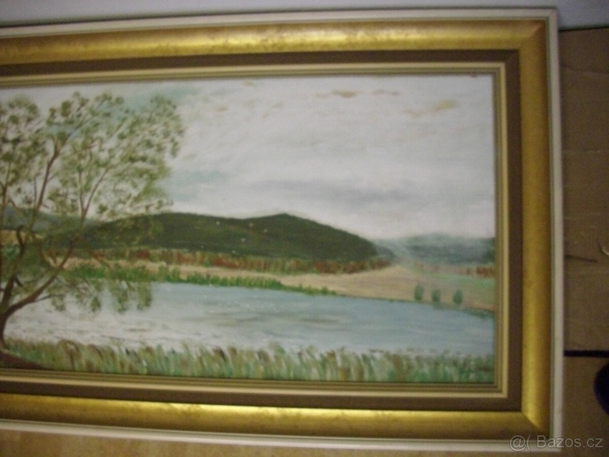 Obrazy z nálezu - 13