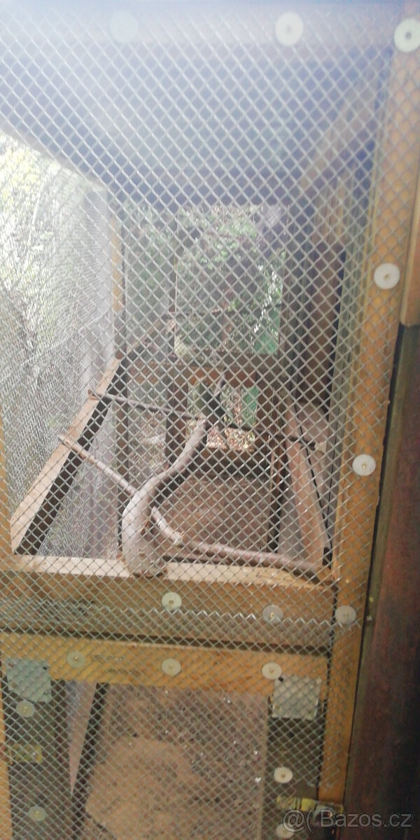 Prodej zahrady 496m2 Roudnice nad Labem - 13