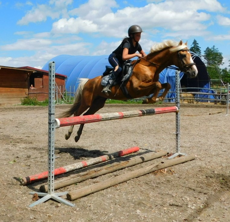 pony A do sportu - 13