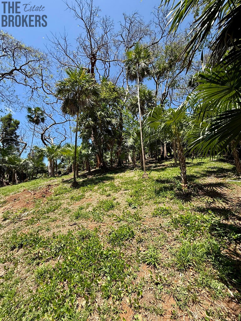 Atocha Lot 1&2 -First Bight, Roatan - 13