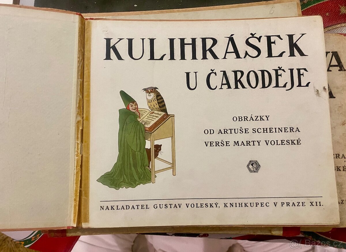 KULIHRÁŠEK MEZI ZVÍŘÁTKY, U SEVERNÍ TOČNY, U MOŘE, TULÁKEM… - 13