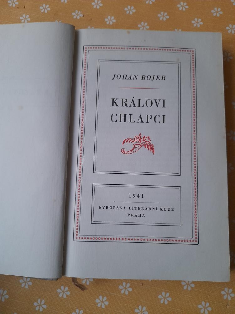 BARUNKA-DIVÁ BÁRA- DÍVKY TEPANÉ ZE STŘÍBRA-POHÁDKY - 13