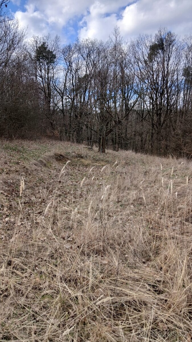 Jalubí - místo pro odpočinek - 13