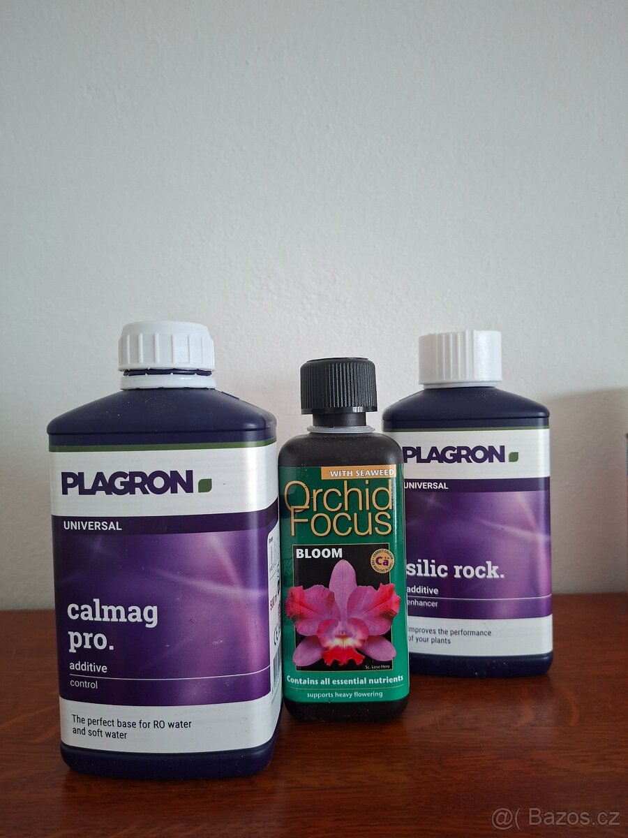 Pokojové rostliny - monstera albo, thai, syngonium albo.. - 13