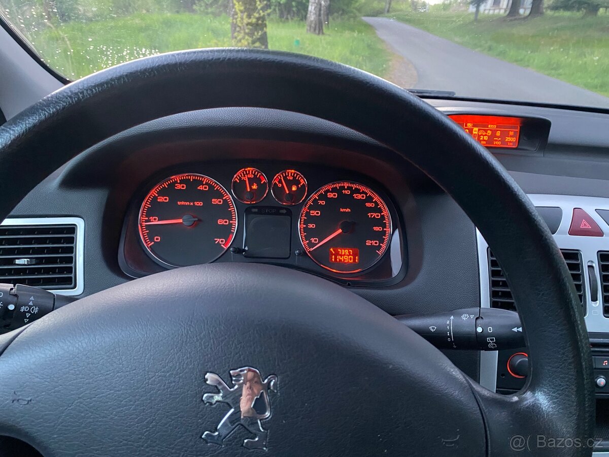 Peugeot 307 1,6 benzin + LPG - 13