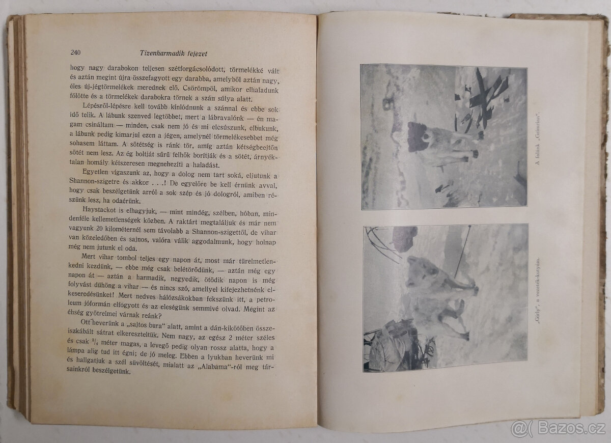 A sarkvidék remetéje 1916 - 13