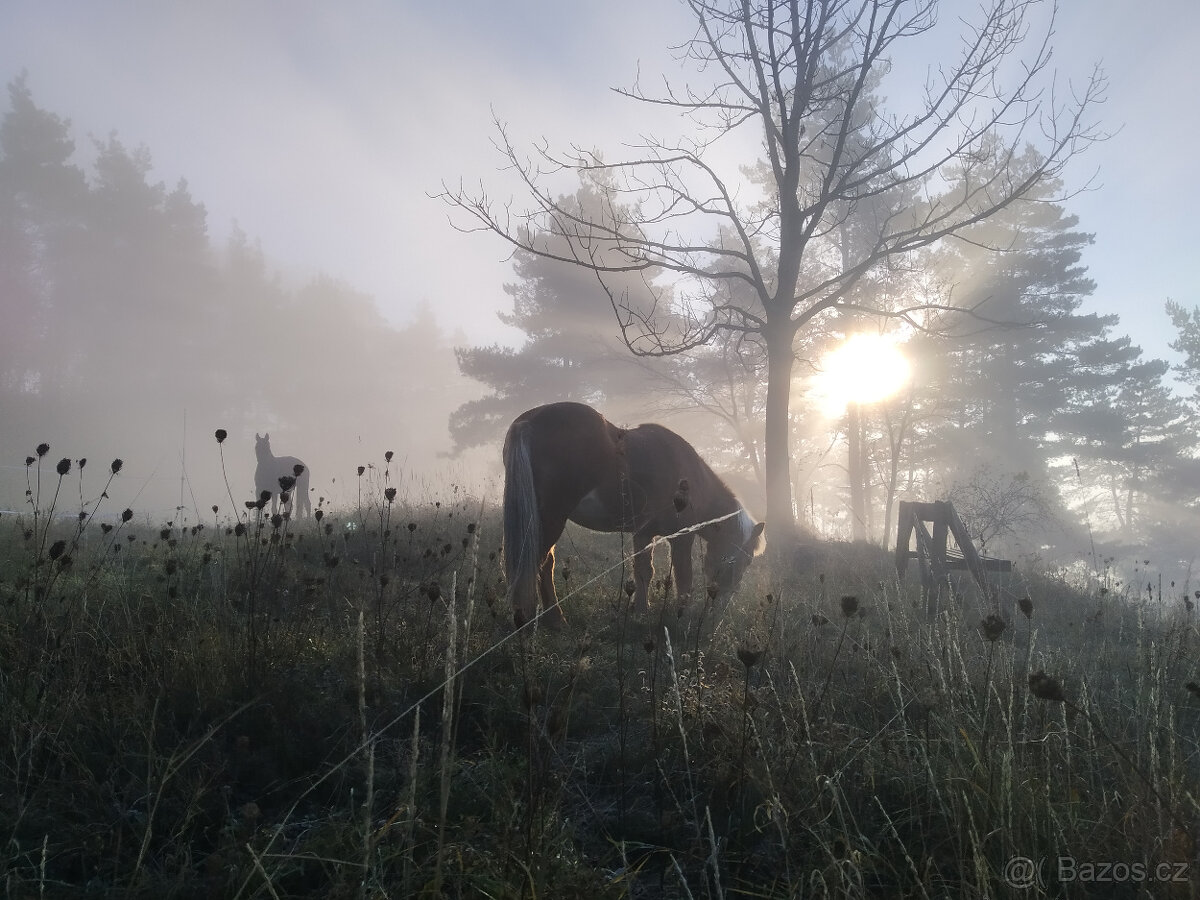 SVATEBNÍ MÍSTO V PŘÍRODĚ A PRO PŘÍRODU - 13