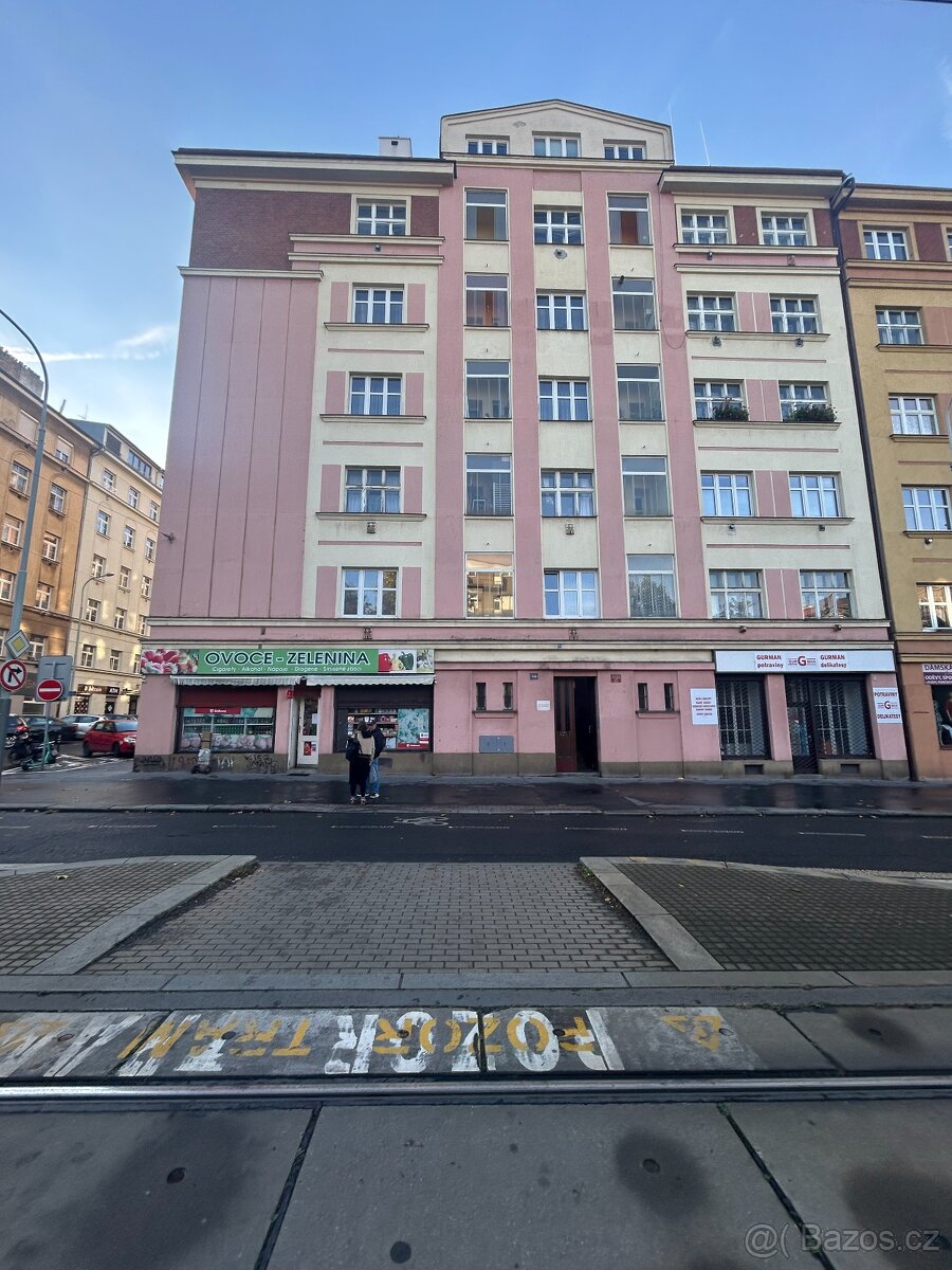 Pronájem bytu 1+1 Žižkov - 13