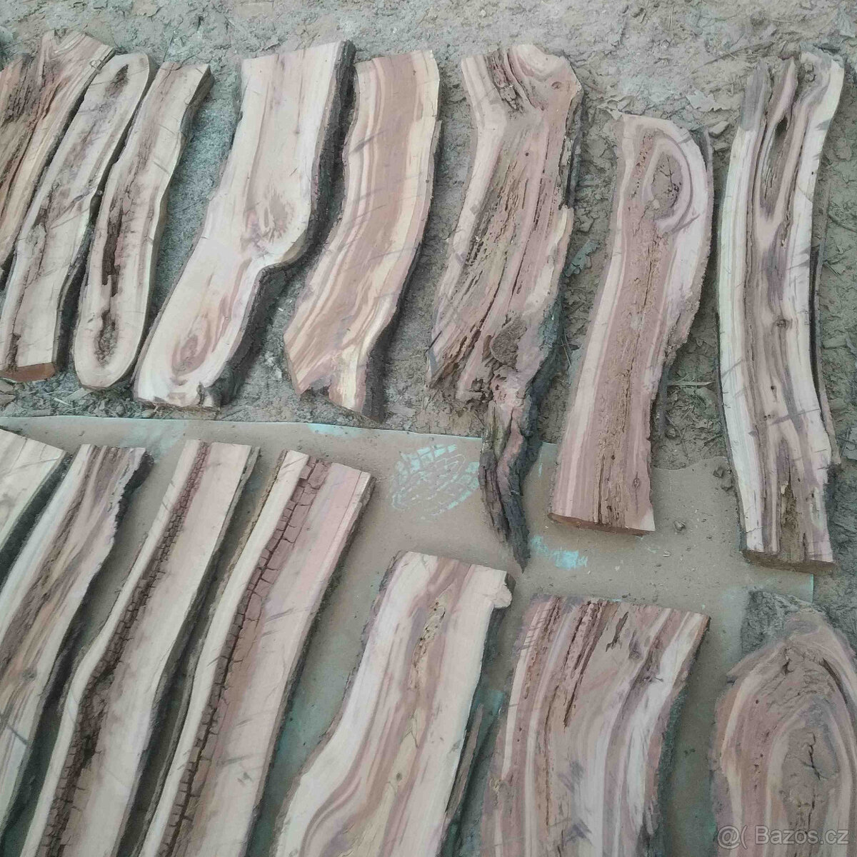 švestka fošny 4cm silné,vhodné do pryskyřice a na dekoraci - 13