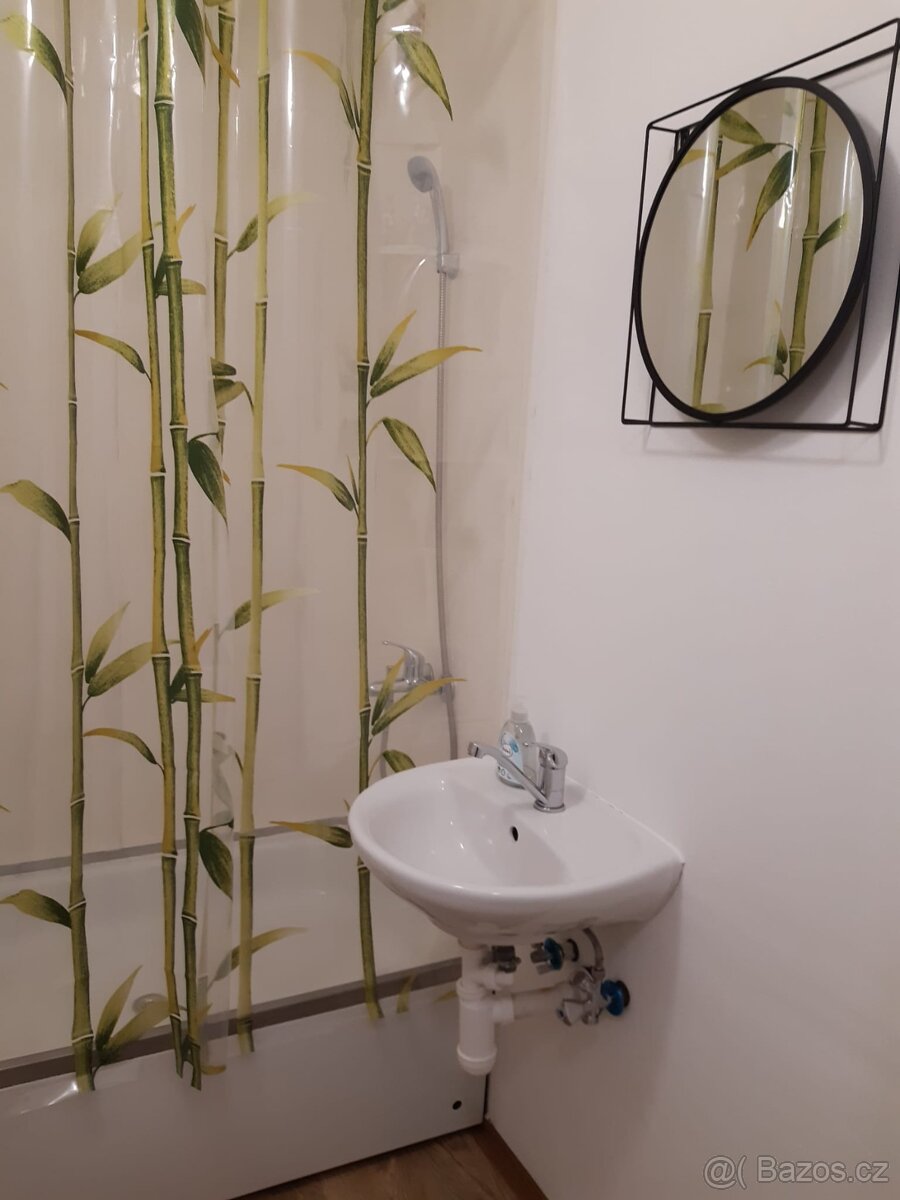 Pronájem bytu 1+kk - 13