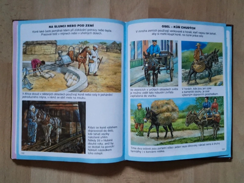 Kniha Obrázky koní a poníků, čtená - 13