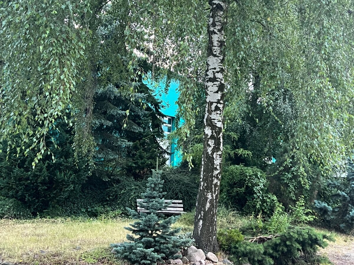 PRONÁJEM samotného pokoje v centru Holic - 13