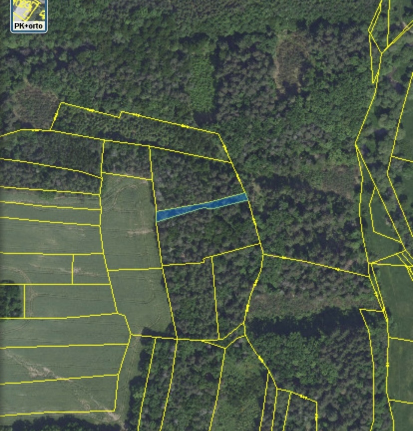 Lesní pozemek Chářovice - 13