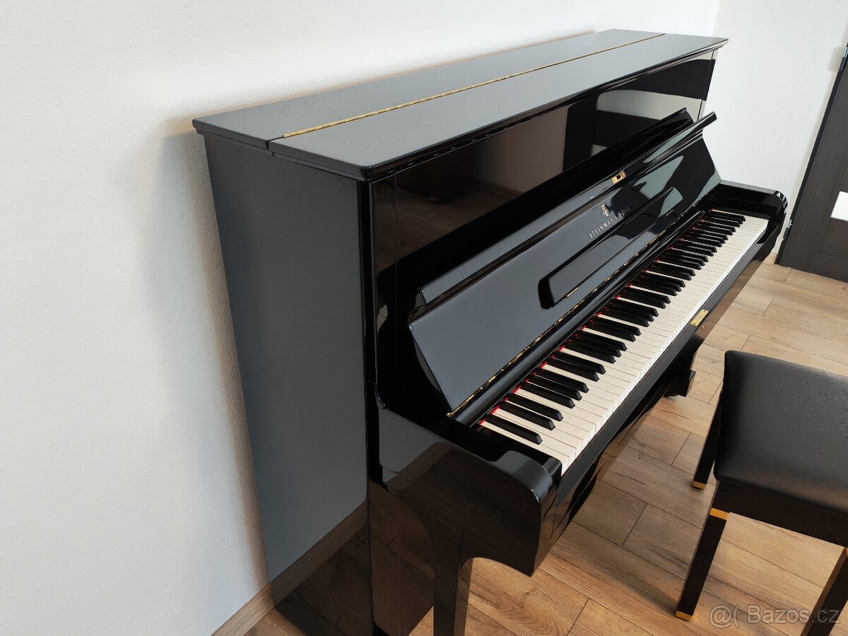 Steinway and Sons dovoz celá ČR - 13
