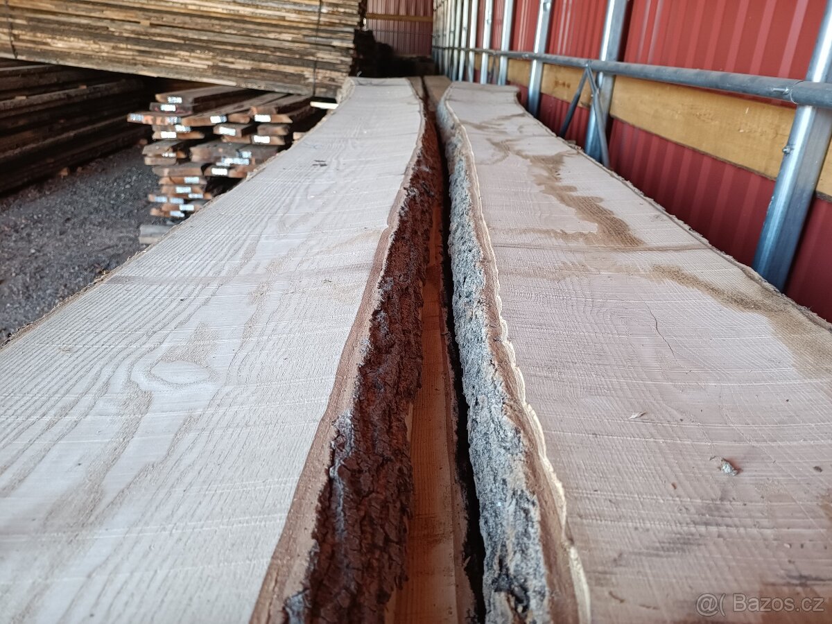 JASAN fošny 52mm sušené - 13
