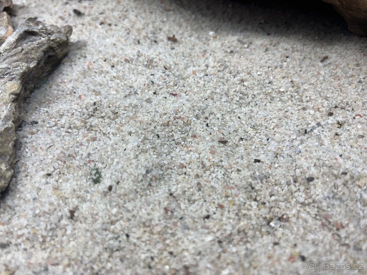 Prodám agamu+ všechny vybaveni. Rychlá koupe sleva 500 a vic - 13