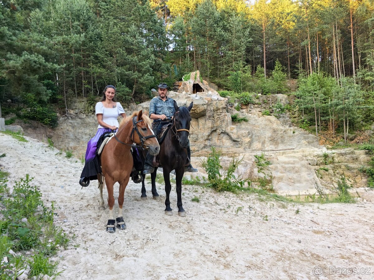 Pasování botek pro koně: - 13