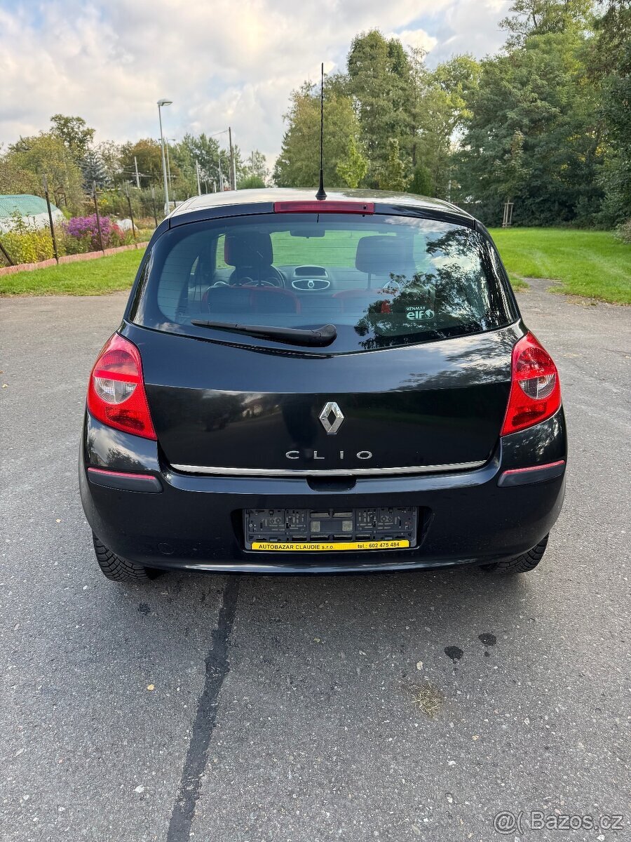 RENAULT Clio. Model - R.I.P.CURL - 13