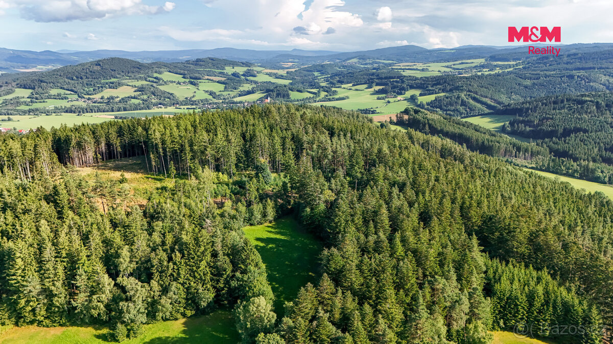 Prodej lesa, 15707 m², Petrovice u Sušice - 13