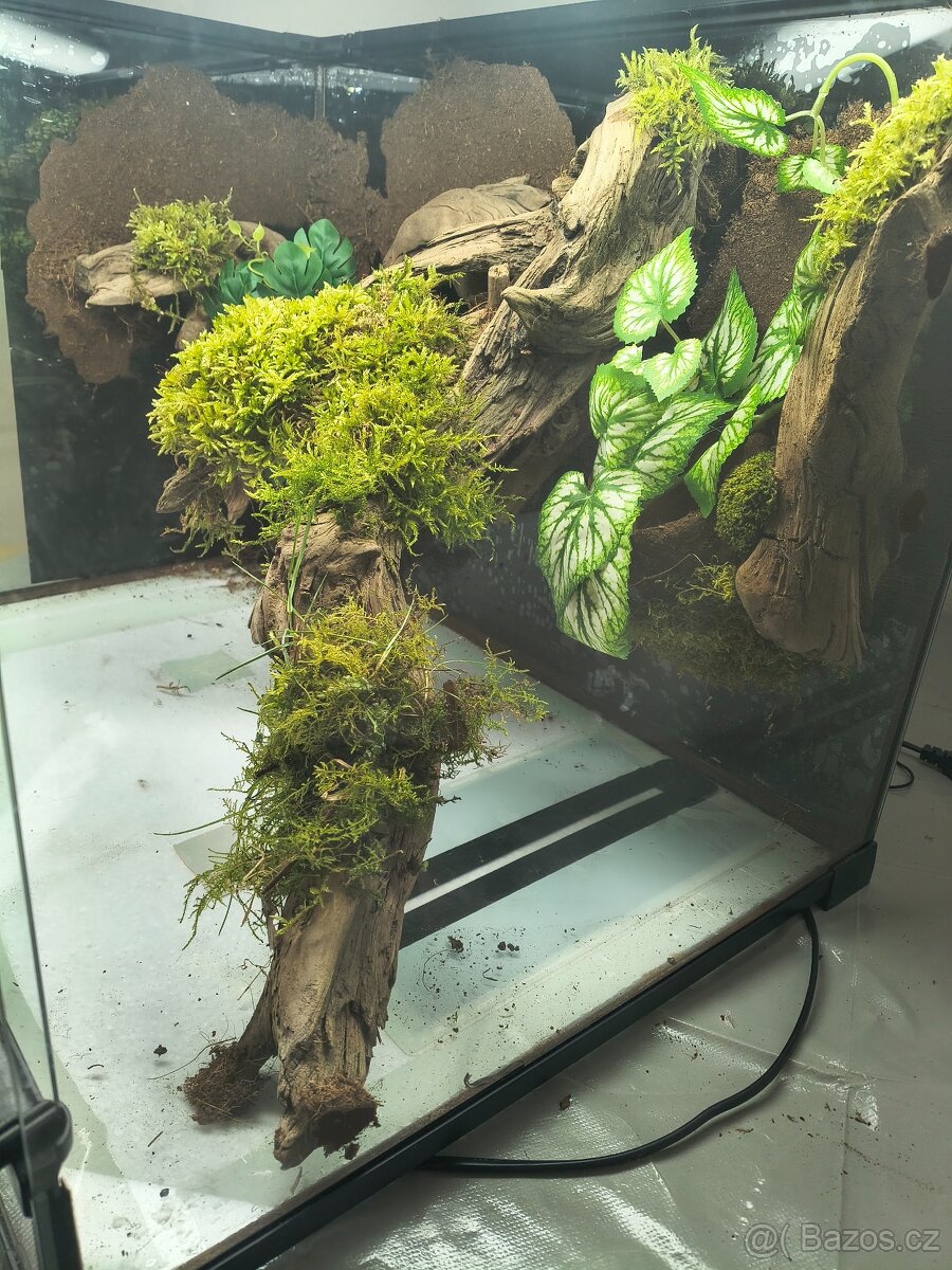 Terárium velké 60x45x45 - 13