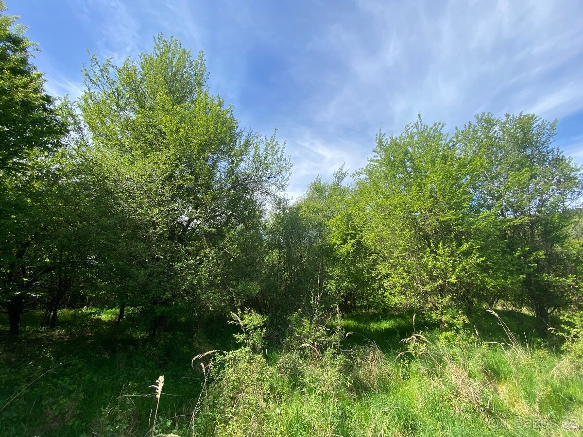 Lesní pozemek Šarovy - 13