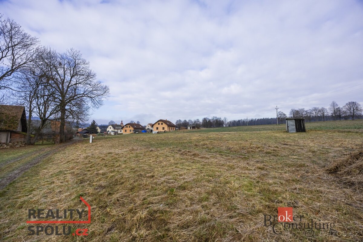 Prodej, pozemky/bydlení, 1000 m2, Rybná nad Zdobnicí, Rychno - 13