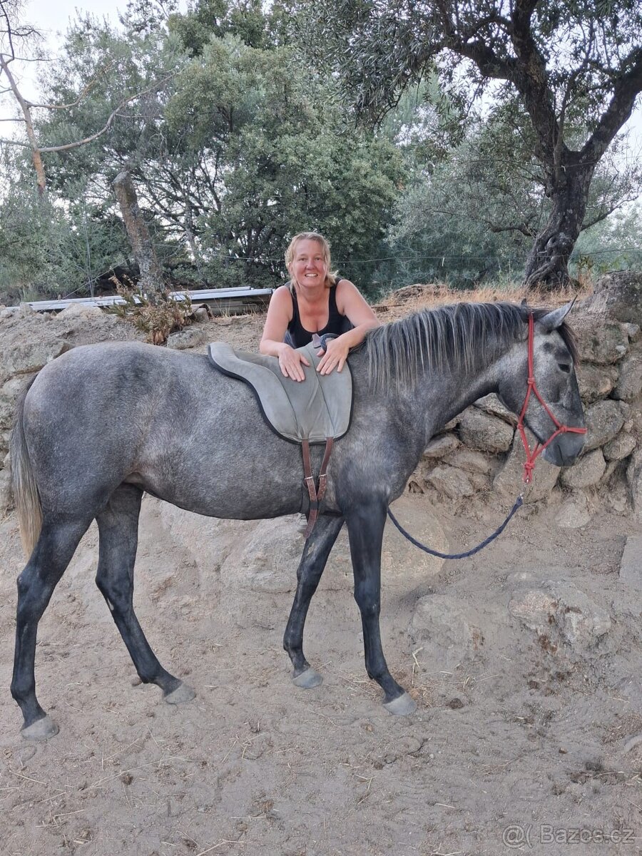 Ulitka krizenka Lusitano - 13
