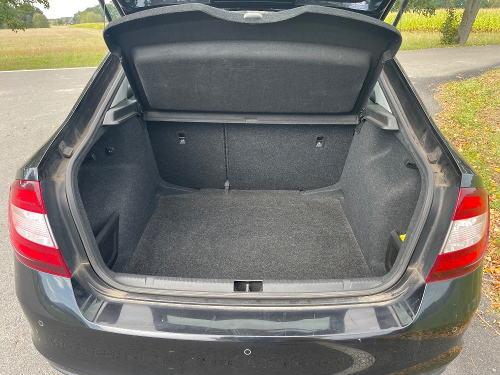 ŠKODA RAPID 2019 1.0 tsi 81 kw - 13