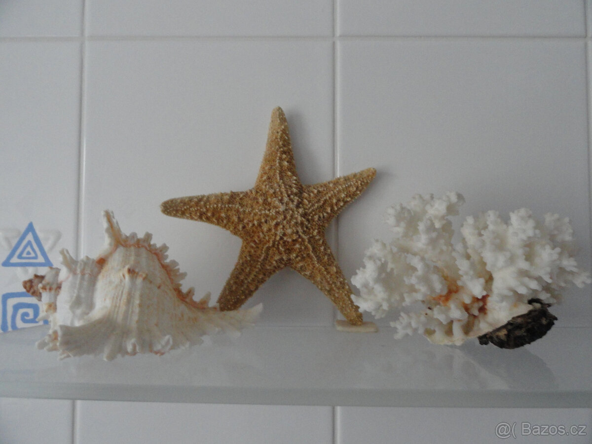 Skleničky 4 ks 200 Kč - 13