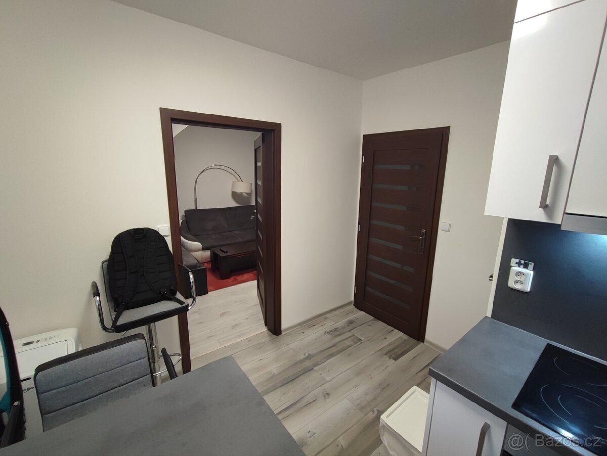 Prodám byt 1+1, 30,50m2 v obci Práče - 13