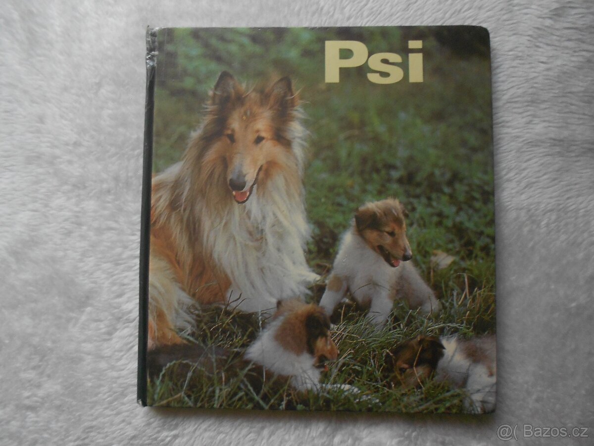 rybáři, zvířectvo, ptactvo, koně - 13