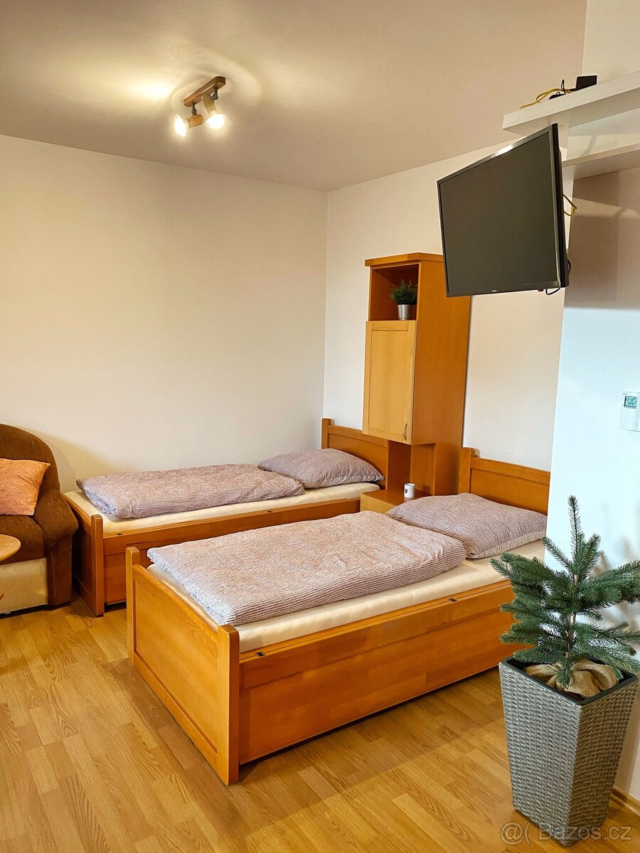 Pronájem byt 1kk (40m2) + park. stání, Čeladná - Farské luky - 13