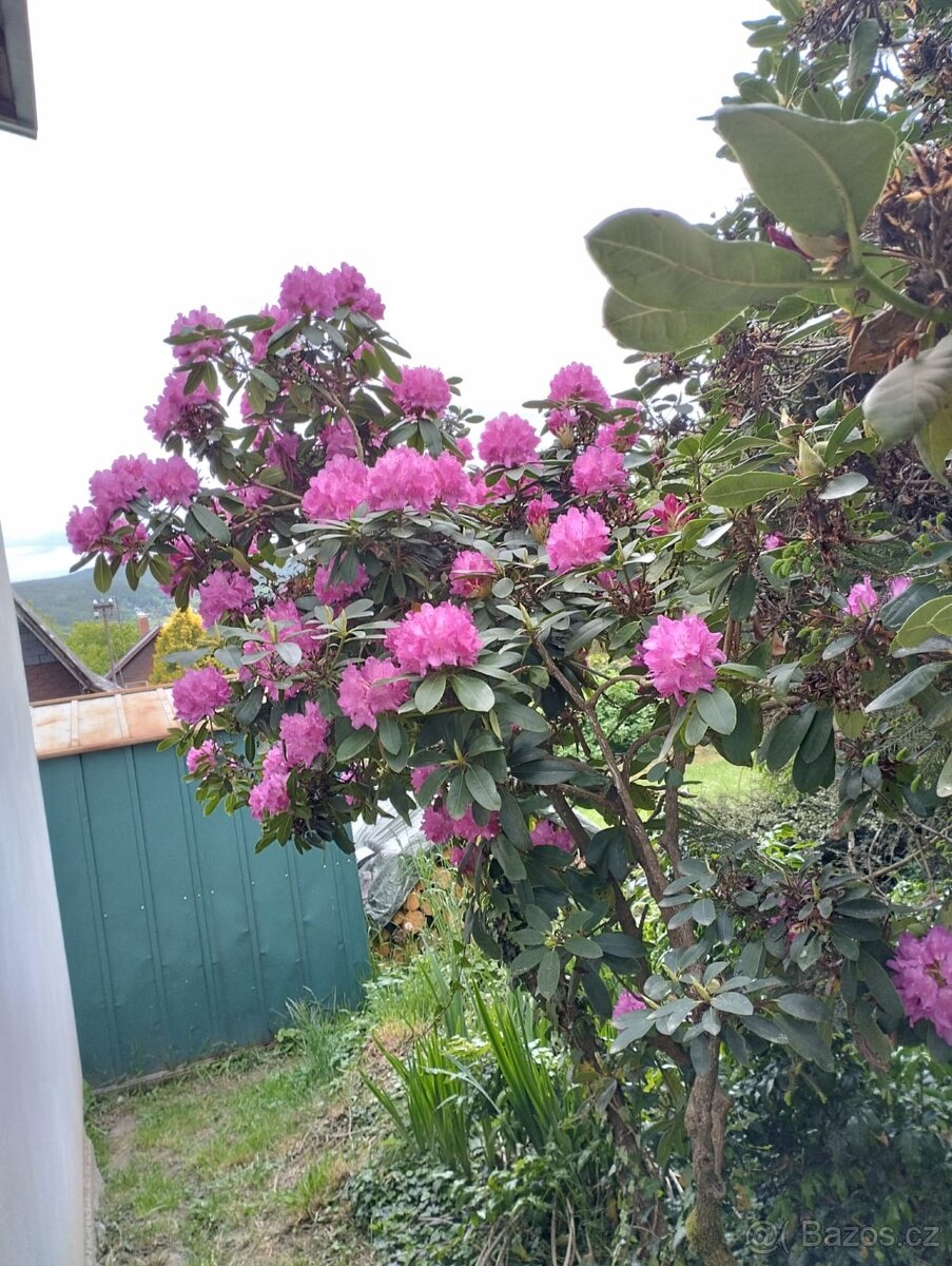 Celoroční obyvatelná chata - 13