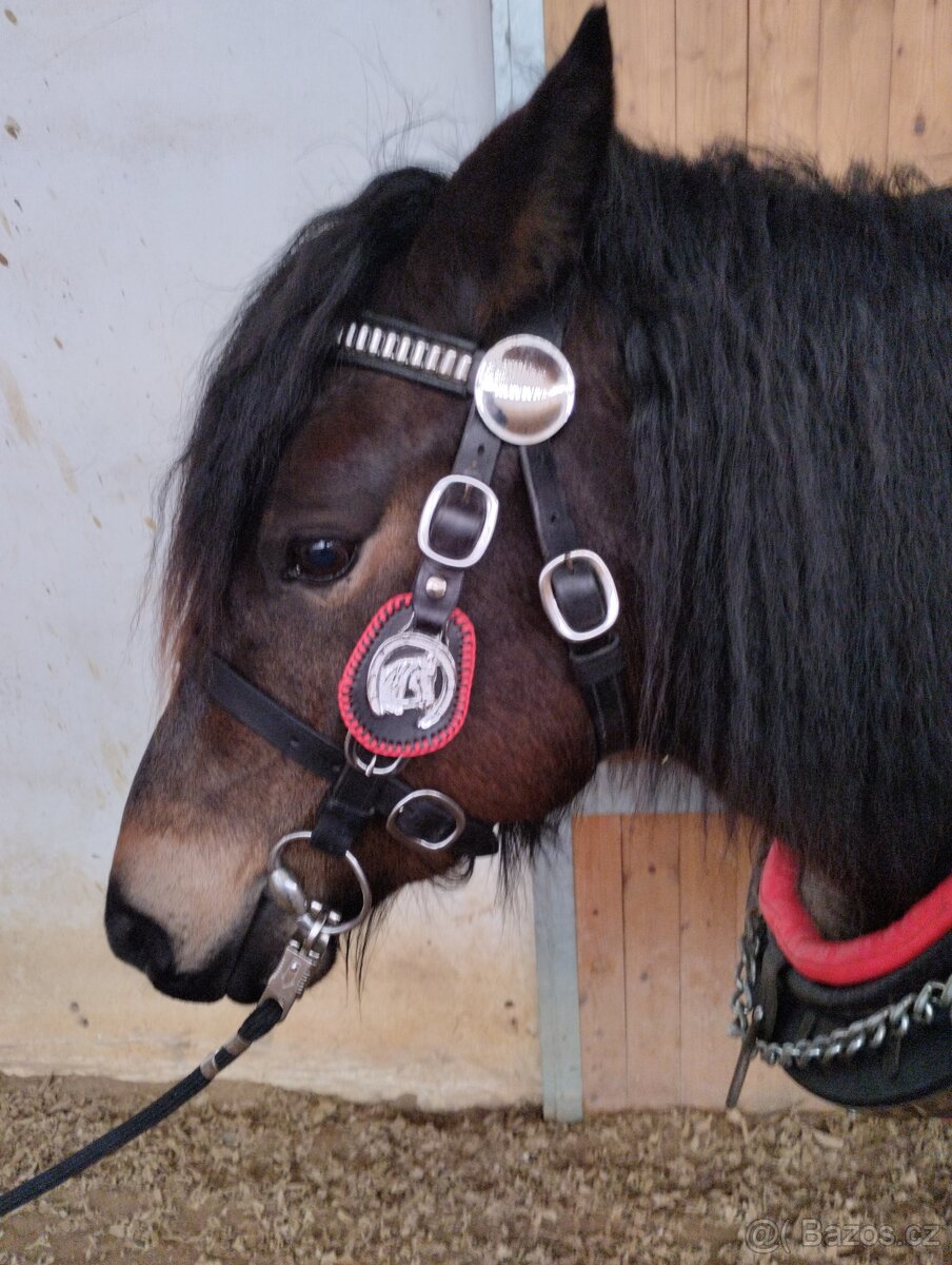 Chomoutový postroj - 13