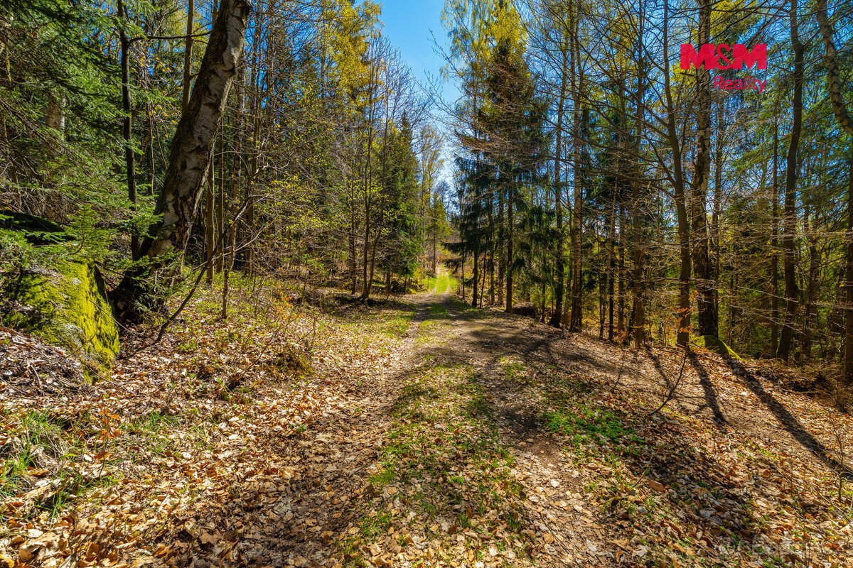 Prodej chalupy, 118 m², Tanvald - 13
