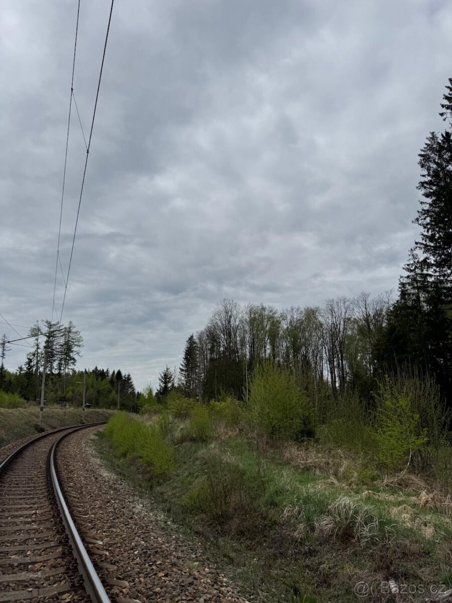 Prodám lesní pozemek v k.ú. Bednáreček - 13